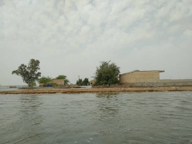 سیل