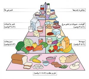 گروه غذایی