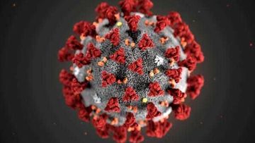 شمار مبتلایان جهانی کرونا از دو میلیون نفر گذشت