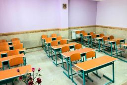 سود کرونا در جیب غیرانتفاعی‌ها