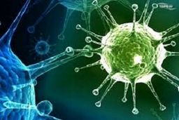 پلاسمادرمانی واکسن اولیه درمان کرونا است؟