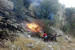 آتش سوزی مناطق حفاظت شده خاییز بهبهان و جنگل‌های خسرج حمیدیه عمدی است /با کمبود شدید نیرو مواجه هستیم
