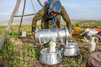مصرف شیرهای غیر پاستوریزه کار دستتان میدهد