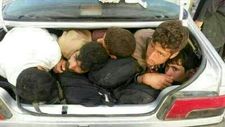 روایتی از پدیده شوم افغان‌کشی
