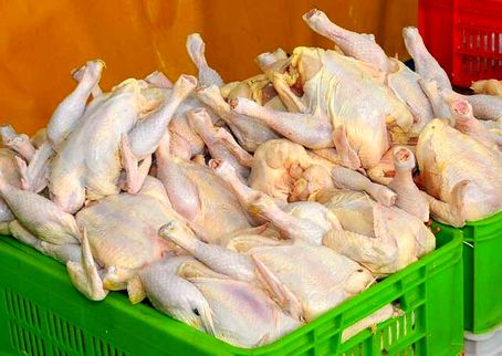 درخواست تجدیدنظر اساسی و فوری در قیمت اعلام‌شده مرغ