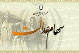 سهام عدالت چند؟