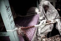 هرس درخت با چاشنی مرگ و حبس/ درخت خرمالو پیرزن را به بند کشید