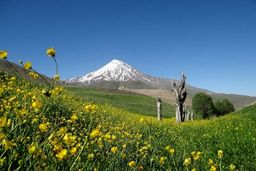 سند آخرین یال قله دماوند هم به نام دولت صادر شد
