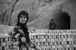 «دشت خاموش» بهترین فیلم بخش افق‌های ونیز شد