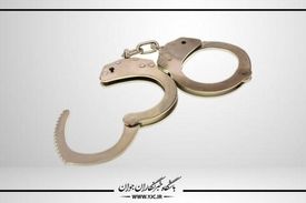 ۳۰ قرص خواب آور برای کشتن صاحبخانه/ پرستار قاتل دستگیر شد
