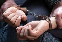 ۵۷ اخلالگر بازار سکه و ارز دستگیر شدند