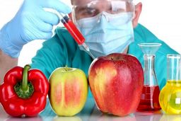 واردات محصولات تراریخته سیاسی است؟‌