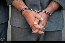 دستگیری بزرگ‌ترین واردکننده نهاده‌های دامی مازندران
