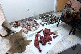 شکارچی بزکوهی در بروجرد به سه سال حبس محکوم شد