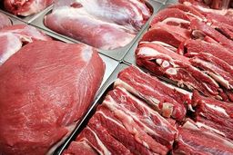 ۴۰ تن از گوشت‌های مغولی تحویل شد تا پودر شود!