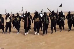داعش رسما از جنگ با انصارالله یمن خبر داد