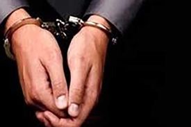 بازداشت ۱۳ دلال و محتکر نهاده‌های دامی