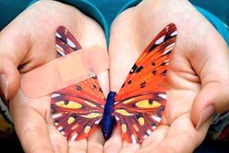 گم شدن بی پاسخ پانسمانِ بیماران پروانه‌ای