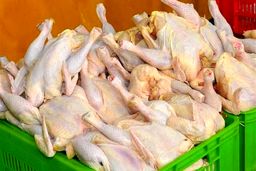 نخستین گرانی رسمی در سال ۱۴۰۰/ قیمت مصوب مرغ ۲۴ هزار و ۹۰۰ تومان شد