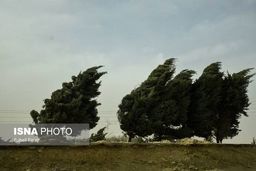 هشدار هواشناسی نسبت به وزش باد شدید و بارش های رگباری