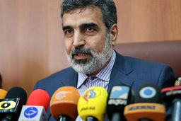 کمالوندی از آغاز تست مکانیکی سانتریفیوژ IR-۹ خبر داد