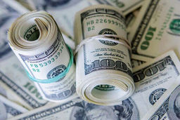 ولخرجی دولت با دلارهای خیالی / «به جای طلبمان واکسن بدهند»