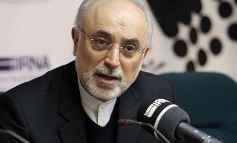 صالحی: نیروگاه هستهای بوشهر تا دو روز آینده وارد مدار میشود