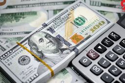 قیمت دلار در هفته گذشته چه تغییراتی کرد؟ / آیا هفته آینده بانک مرکزی قیمت دلار را پایین می آورد؟