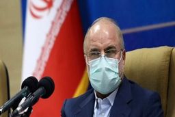 طرح شفافیت در بازگشت مجدد به صحن، رأی بالا می‌آورد