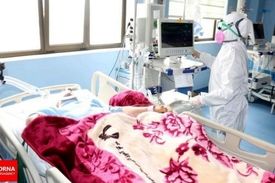 ۲۱۷ تن دیگر جان باختند