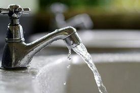 تکذیب وجود نوعی انگل در منابع آب