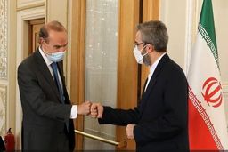 معاون وزیر خارجه چهارشنبه با هماهنگ‌کننده کمیسیون مشترک برجام دیدار می‌کند