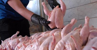 ثبات قیمت مرغ و تخممرغ