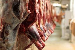 بازیجه دلالان شدن برای حکومت چه عواقبی دارد؟!