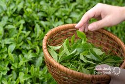 به جای پول نفت، به ایران چای می‌دهیم!