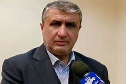 ایران برخی بازرسان اتمی را قبول نمی کند