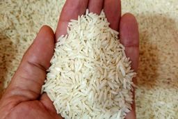 نرخ انواع برنج خارجی و ایرانی اعلام شد