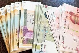 استقبال کانون صرافان از رفع محدودیت ورود ارز به کشور