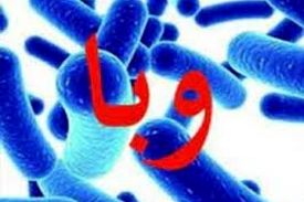 مدیرعامل شرکت آب و فاضلاب کشور آب ایران عامل ابتلا به وبا نبوده است