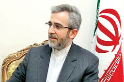 هیچ کشوری نیست که طعم تلخ نقص حقوق بشر آمریکایی را نچشیده باشد