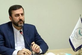بهنام نجفی کیست؟ / معاون امور بین‌الملل قوه قضائیه خواستار استرداد او شد