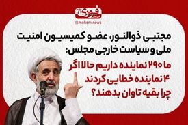 عضو کمیسیون امنیت ملی و سیاست خارجی مجلس: ما ۲۹۰ نماینده داریم حالا اگر ۴ نماینده خطایی کردند، چرا بقیه تاوان بدهند؟