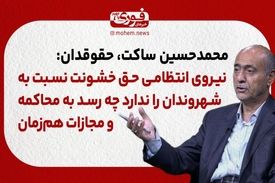 ساکت، حقوقدان: نیروی انتظامی حق خشونت نسبت به شهروندان را ندارد چه رسد به محاکمه و مجازات هم‌زمان
