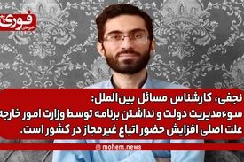 نجفی، کارشناس بین‌الملل: سوء‌مدیریت دولت و نداشتن برنامه توسط وزارت امور خارجه علت اصلی افزایش حضور اتباع غیر‌مجاز در کشور است.