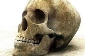 معمای مرموز کشف جمجمه در سعادت‌آباد