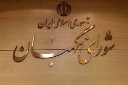 روایت مجید انصاری از دیدار با اعضای شورای نگهبان
